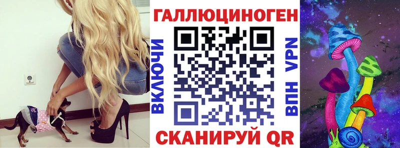 Псилоцибиновые грибы Cubensis Новая Усмань